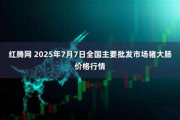 红腾网 2025年7月7日全国主要批发市场猪大肠价格行情